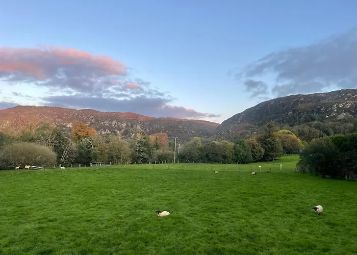 Cosy Nap Under The Paps * Killarney