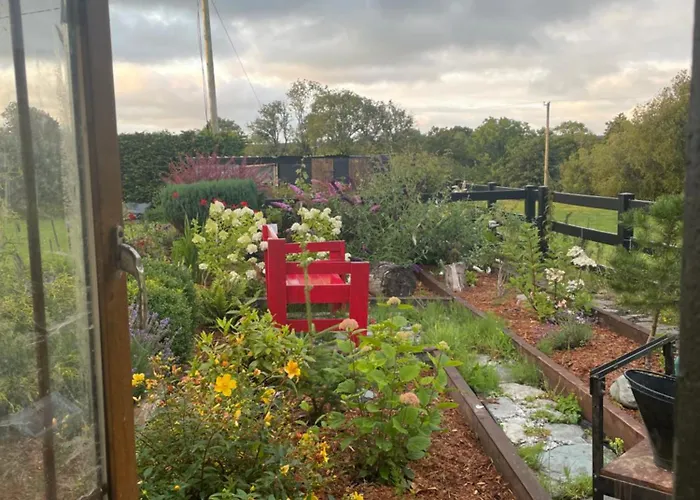 Cosy Nap Under The Paps * Killarney